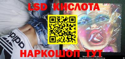 СК Донецк